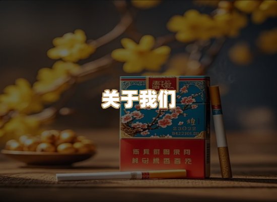 关于云歌烟网